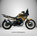Adhesivos Moto Voge 800 DS RALLY (2025-2026)- Desert Storm