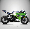 Adhesivos Moto Kawasaki ZX6R (All Years) - Shadow Green Aniversary